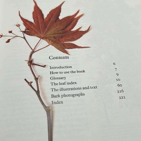 Vintage Hardcover Book 1978 Edition Trees In Britain, Europe And North America - Picture 5 of 16